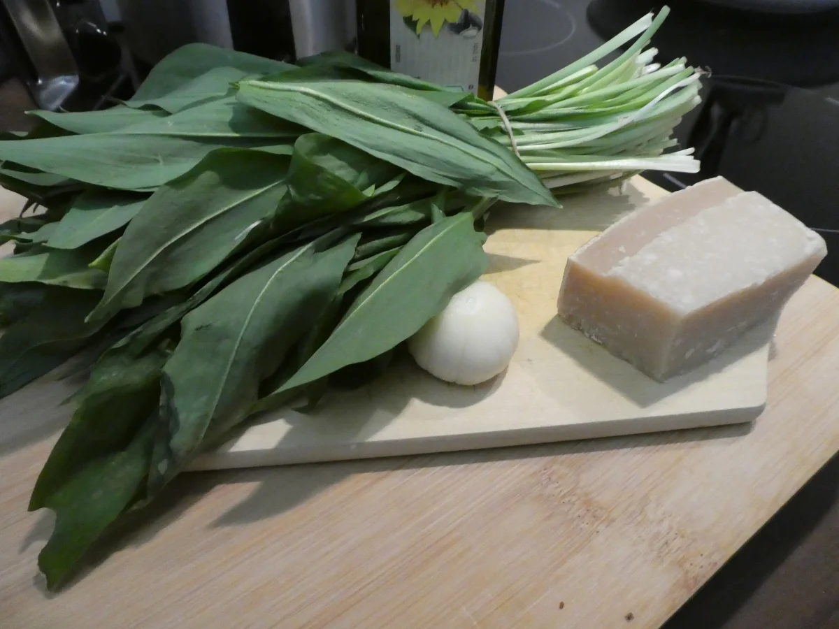 Bärlauch-Pesto mit Nudeln - Rezept - Bild Nr. 13863