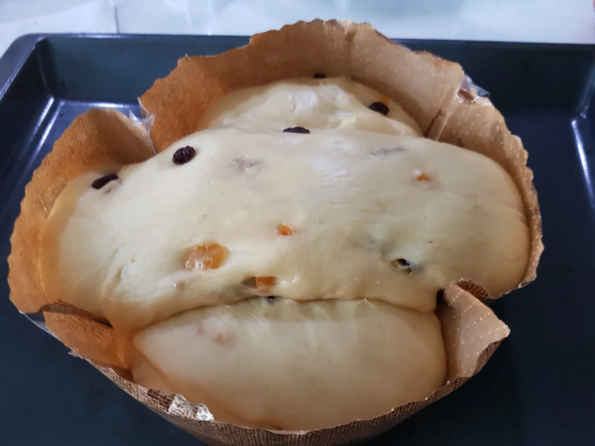 Ostertaube -  "Colomba di Pasqua" - Rezept - Bild Nr. 13892