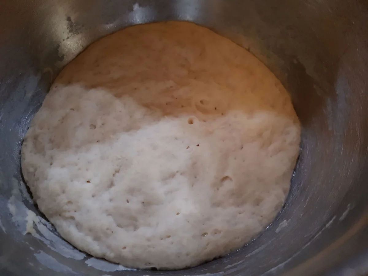 Ostertaube -  "Colomba di Pasqua" - Rezept - Bild Nr. 13902