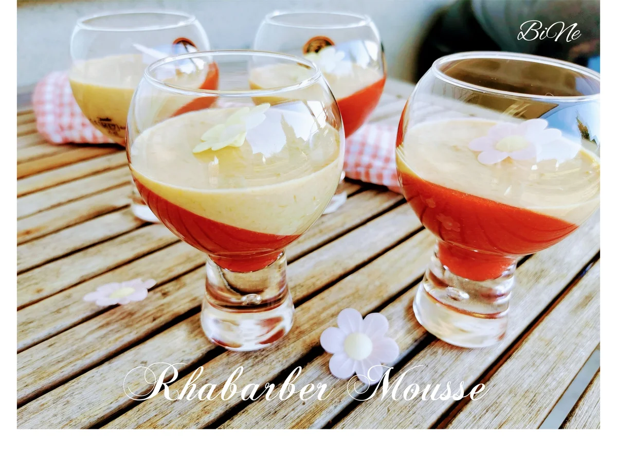 BiNe` S RHABARBER MOUSSE - Rezept - Bild Nr. 13907