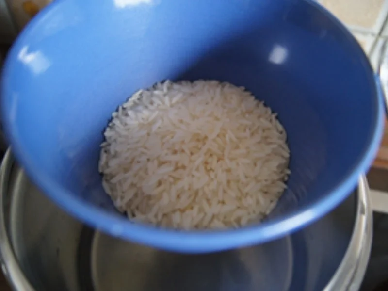 Rezept: Schweinefilet mit Chinakohl und Jasmin-Reis Bild Nr. 9 Schweinefilet mit Chinakohl und Jasmin-Reis - Rezept - Bild Nr. 9