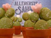 Jessicas Meisterstück - Rezept - Bild Nr. 13907