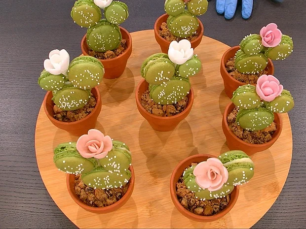 Jessicas Meisterstück - Rezept - Bild Nr. 13908