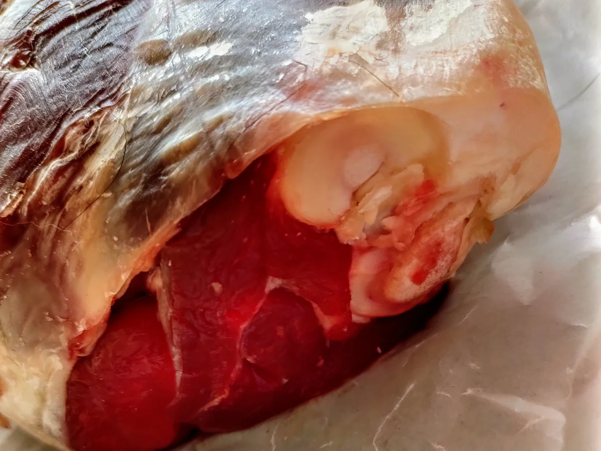 Lammhaxe aus dem Römertopf - Rezept - Bild Nr. 4