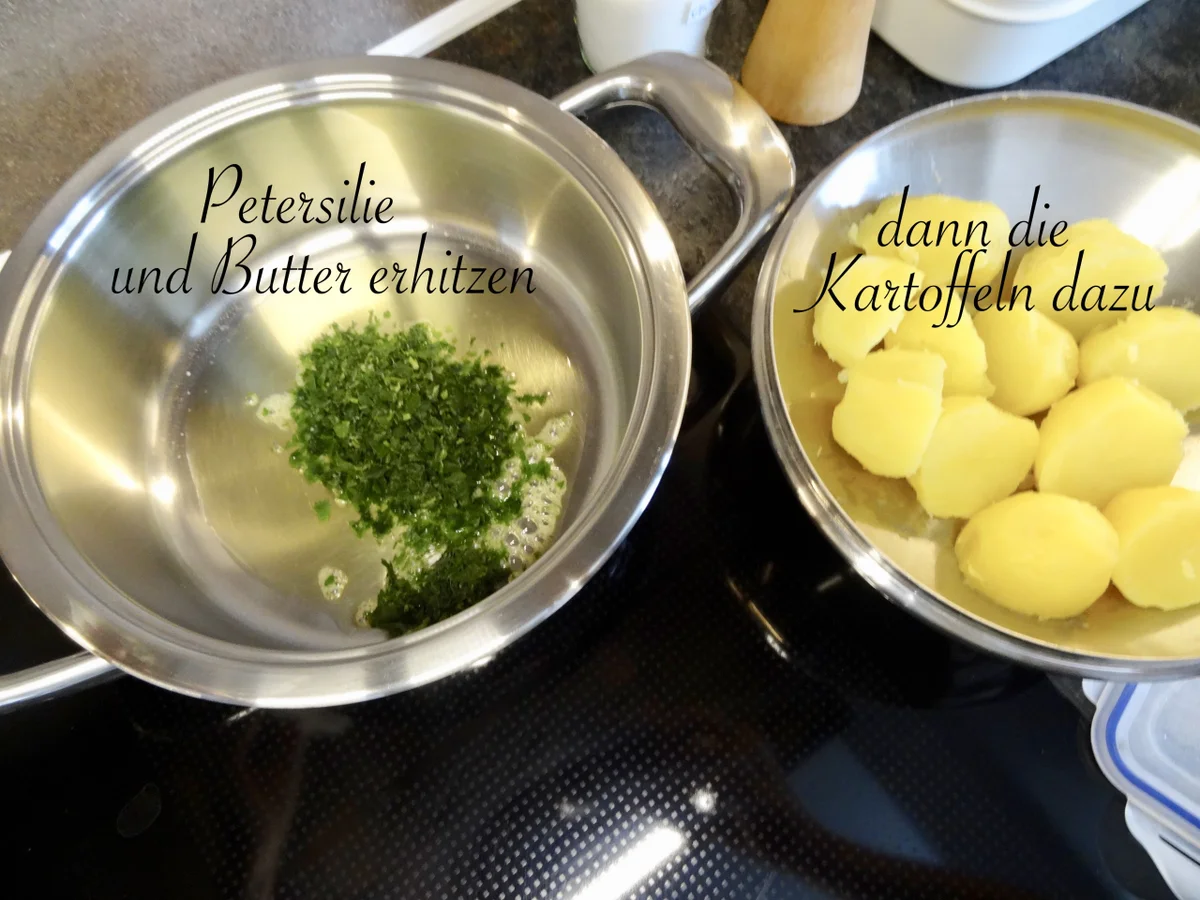 Rezept: Pariser Schnitzel mit perfekter Panade Bild Nr. 13930 Pariser Schnitzel mit perfekter Panade - Rezept - Bild Nr. 13930