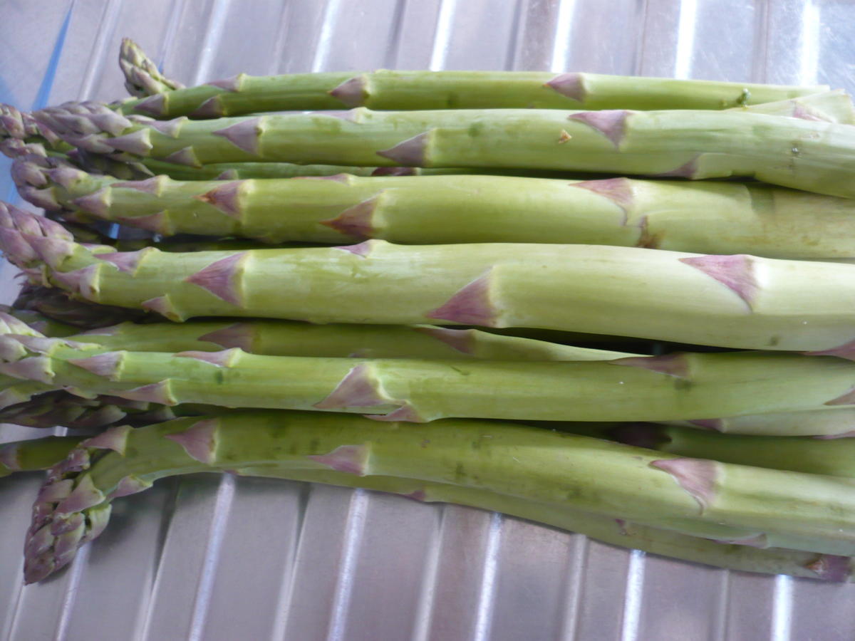 Pasta mit Spargel und Schinken - Rezept - Bild Nr. 13925