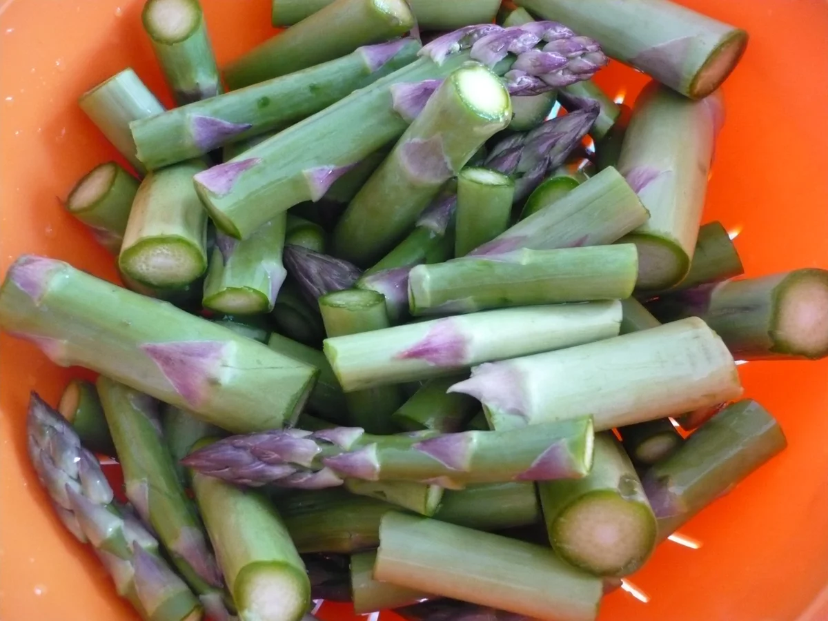 Pasta mit Spargel und Schinken - Rezept - Bild Nr. 13927