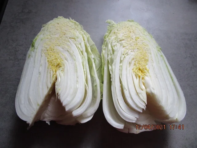 Rezept: Shrimps mit Chinakohl-Paprika-Gemüse Bild Nr. 13947 Shrimps mit Chinakohl-Paprika-Gemüse - Rezept - Bild Nr. 13947