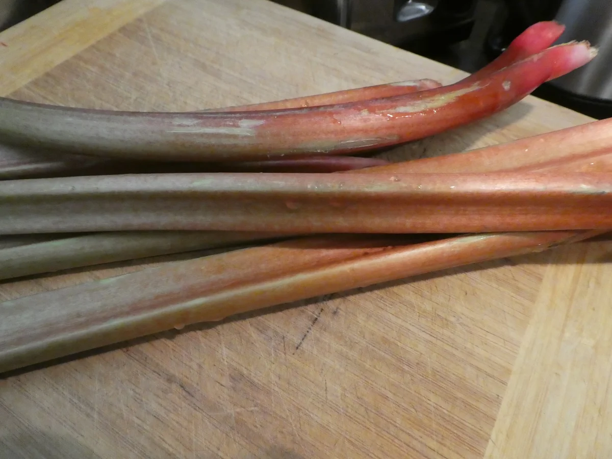 Rhabarber-Muffins - Rezept - Bild Nr. 13947