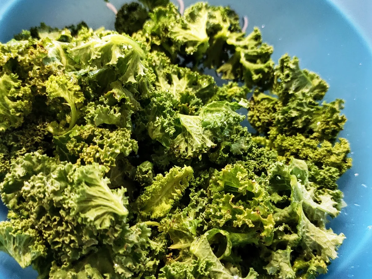 Grünkohl-Buchweizenpfannkuchen-Lasagne - Rezept - Bild Nr. 13970