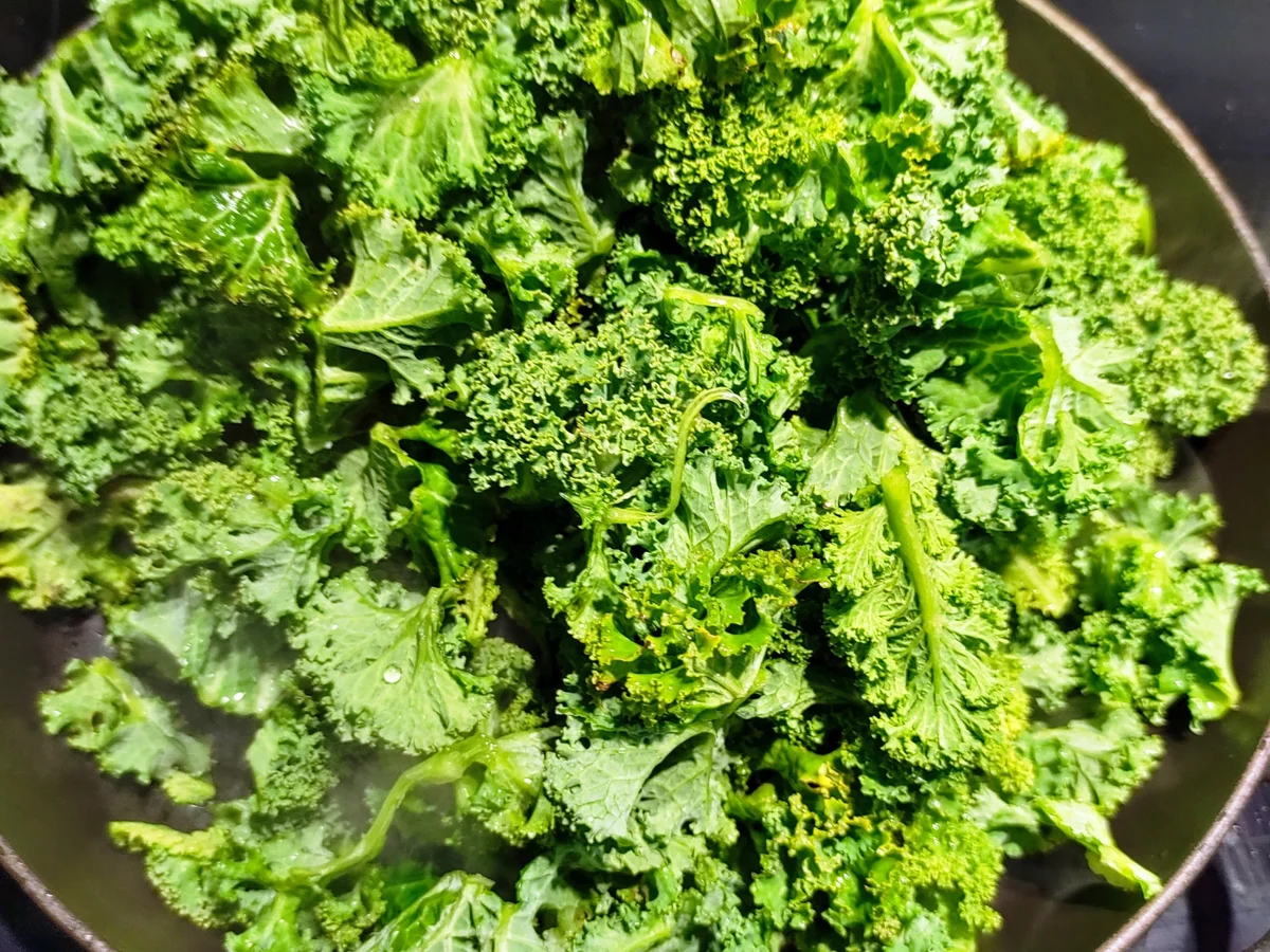 Grünkohl-Buchweizenpfannkuchen-Lasagne - Rezept - Bild Nr. 13971