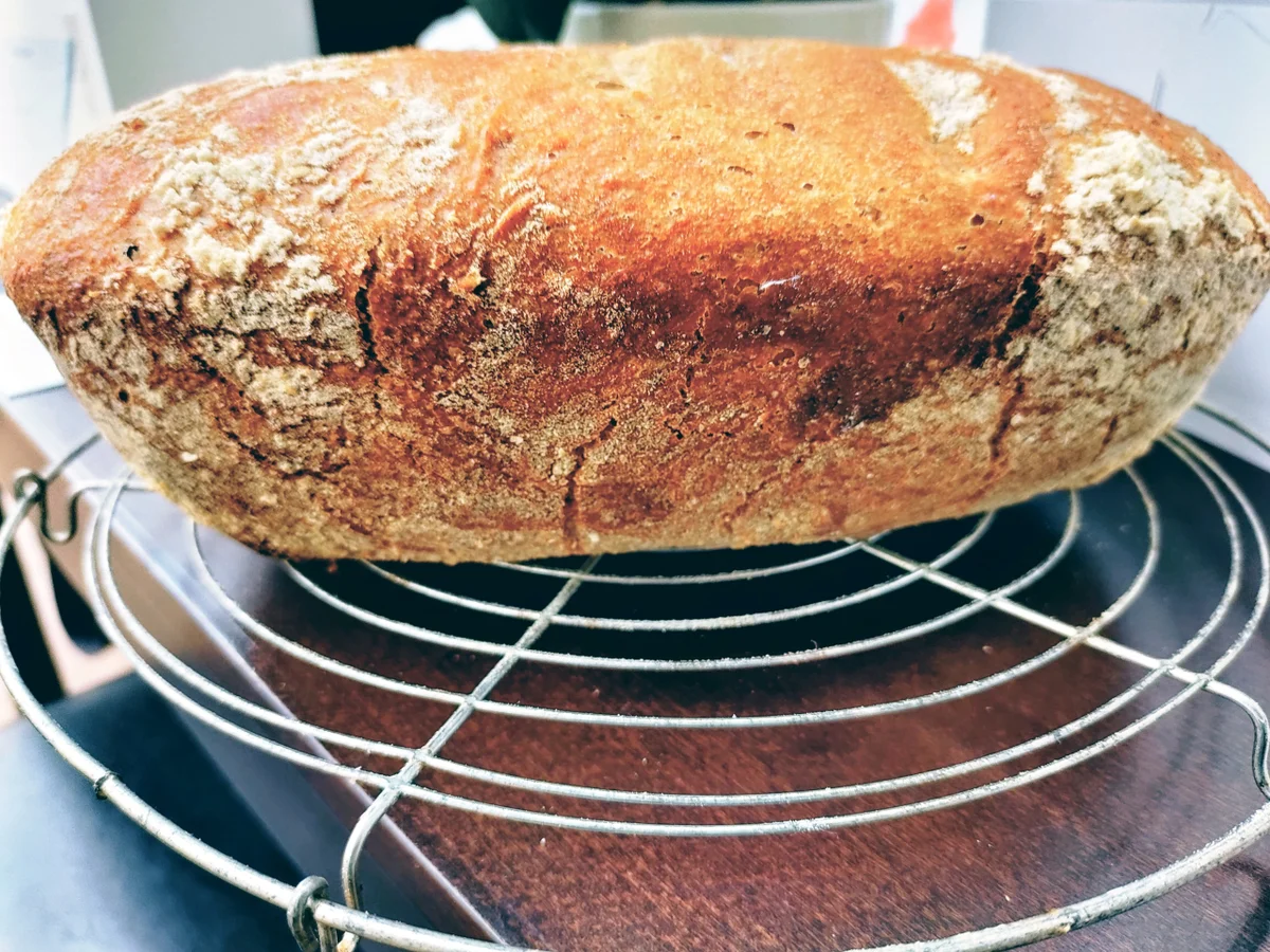Pane Maggiore II - im Römertopf - Rezept - Bild Nr. 14022