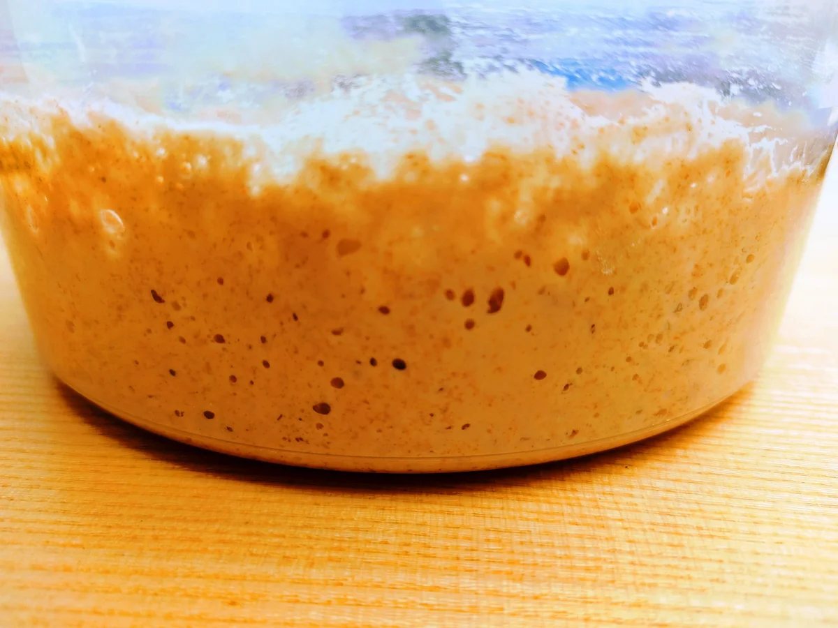 Pane Maggiore II - im Römertopf - Rezept - Bild Nr. 14036