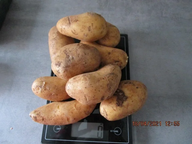 Geschnetzeltes nach Zür'cher Art - Rezept - Bild Nr. 13983