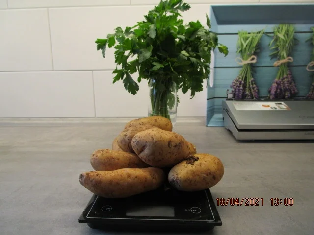 Geschnetzeltes nach Zür'cher Art - Rezept - Bild Nr. 13985