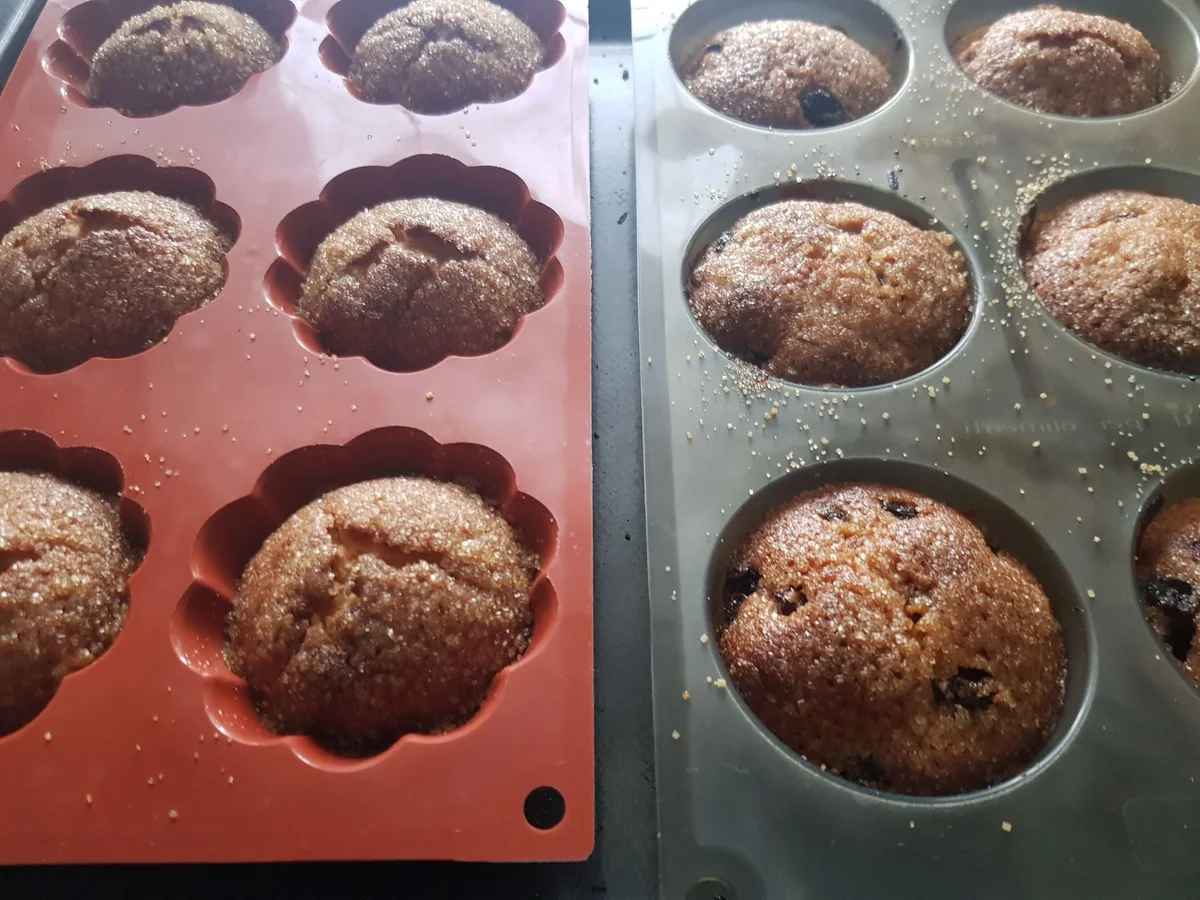 Rezept: Ricotta-Muffins Bild Nr. 14008 Ricotta-Muffins - Rezept - Bild Nr. 14008