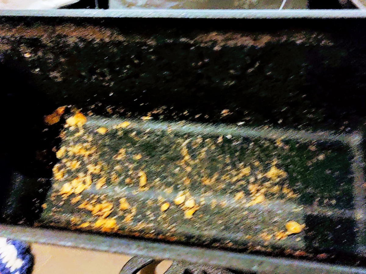 Pumpernickel mit Not-Schrotung - Rezept - Bild Nr. 14147