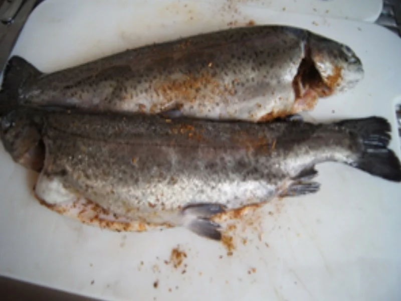 Forelle Müllerin Art mit Spargel - Rezept - Bild Nr. 4