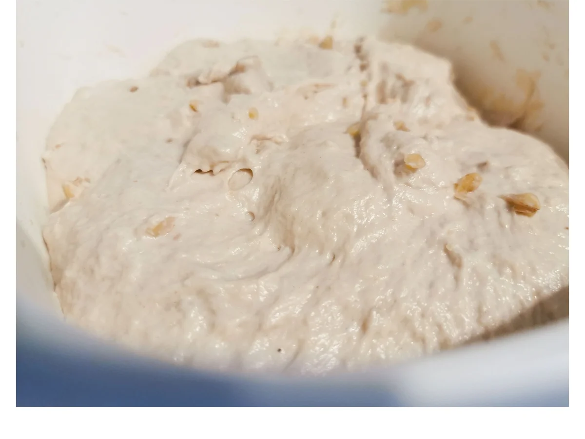 Rezept: BiNe` S DINKEL - WALNUSSBROT Bild Nr. 14104 BiNe` S DINKEL - WALNUSSBROT - Rezept - Bild Nr. 14104