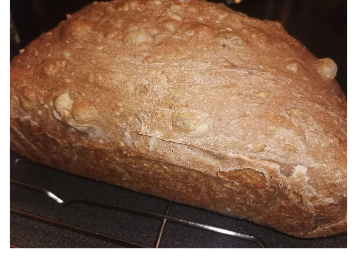 Rezept: BiNe` S DINKEL - WALNUSSBROT Bild Nr. 14106 BiNe` S DINKEL - WALNUSSBROT - Rezept - Bild Nr. 14106