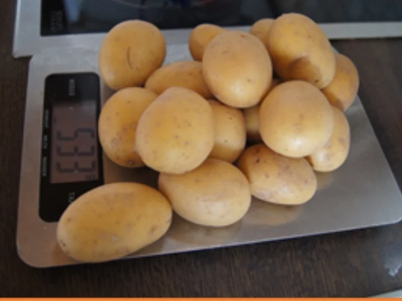 Prager Schinken mit Spargel, herzhafter Sauce und Drillingen - Rezept - Bild Nr. 14113