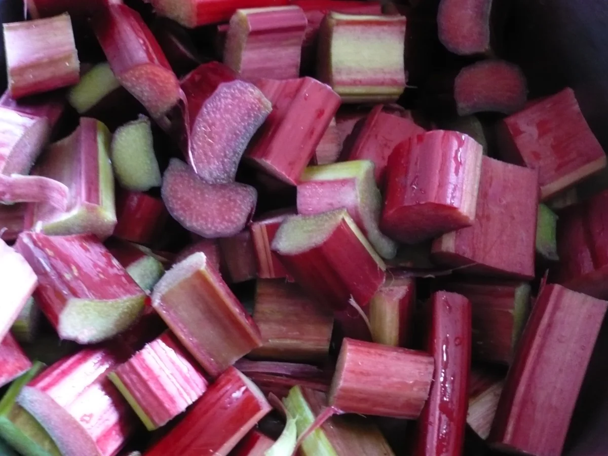 Rhabarber - Baiser - Torte - Rezept - Bild Nr. 14110