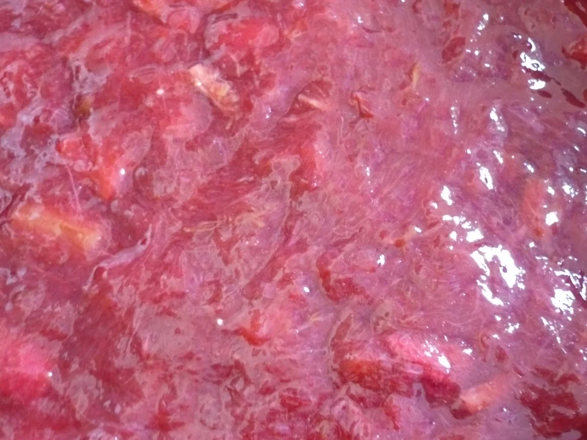 Rhabarber - Baiser - Torte - Rezept - Bild Nr. 14112