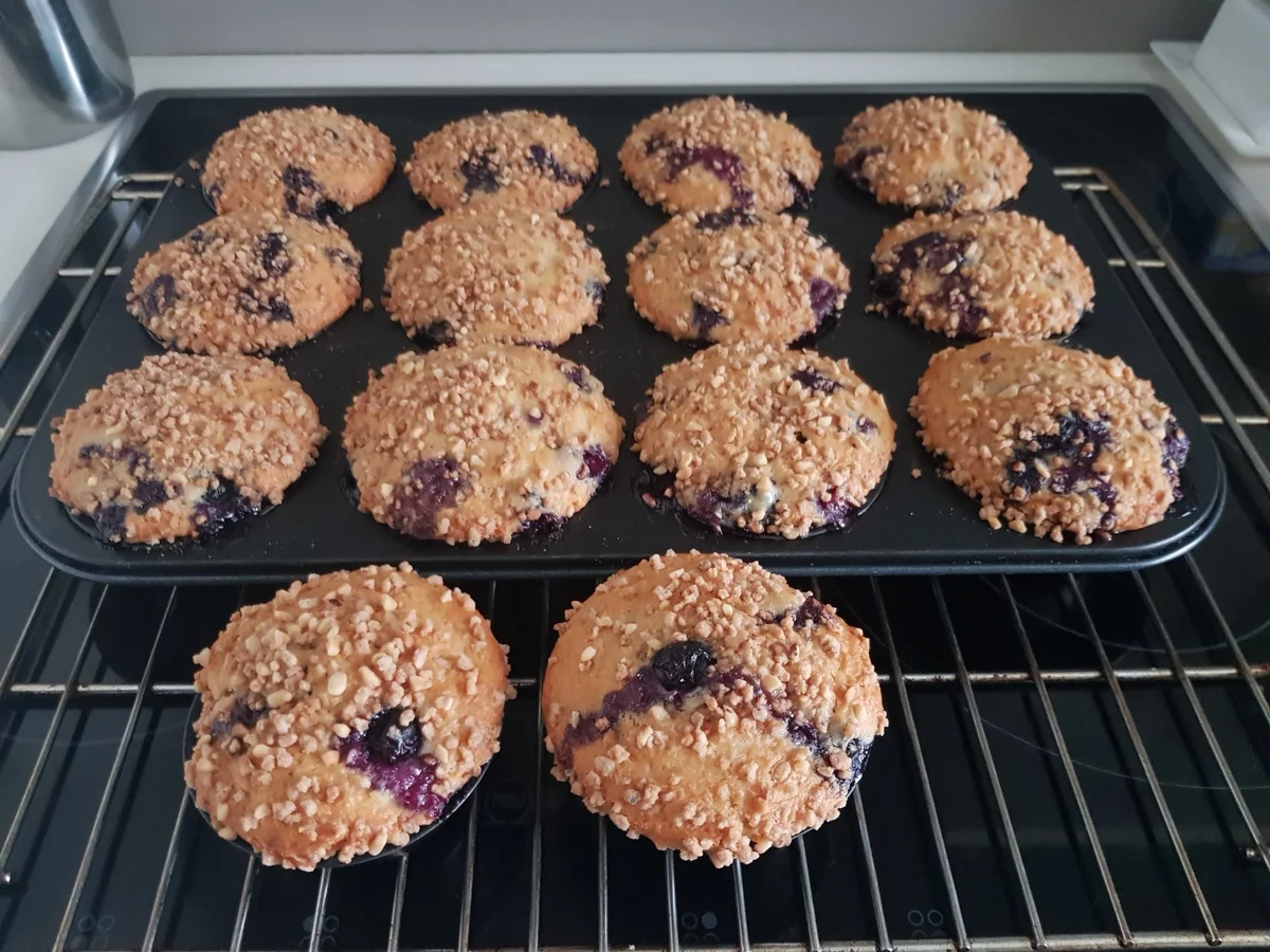Joghurt-Heidelbeer-Muffins - Rezept - Bild Nr. 14103