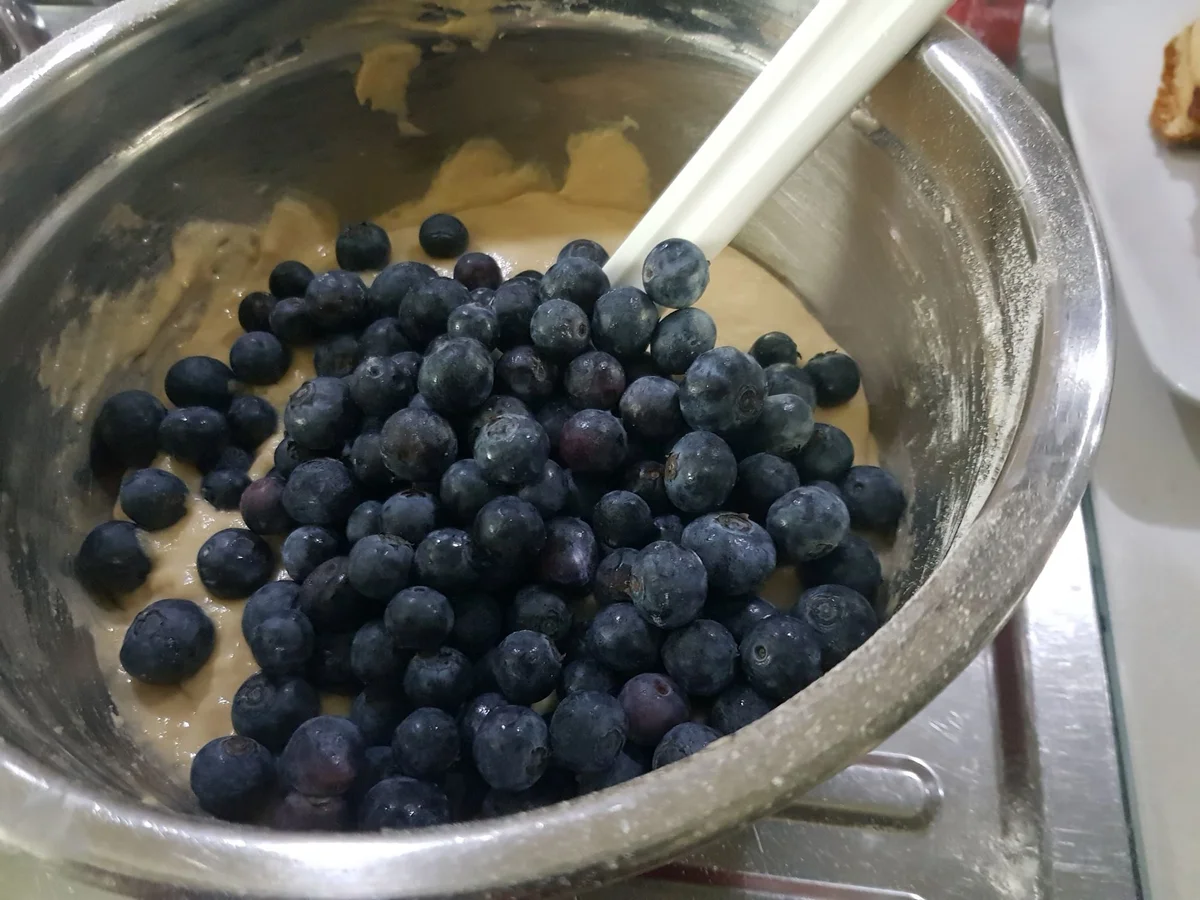 Joghurt-Heidelbeer-Muffins - Rezept - Bild Nr. 14105