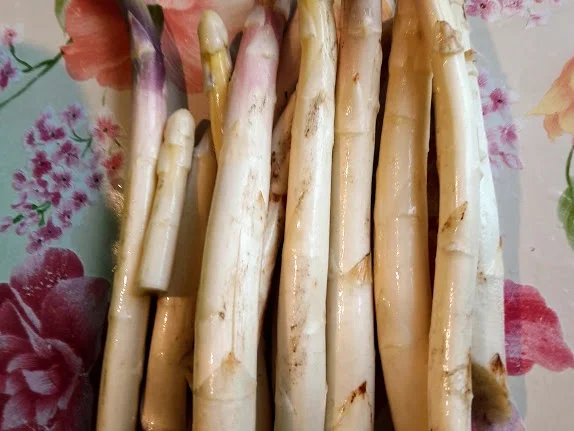 Buletten mit unserem ersten Spargel in diesem Jahr - Rezept - Bild Nr. 14111