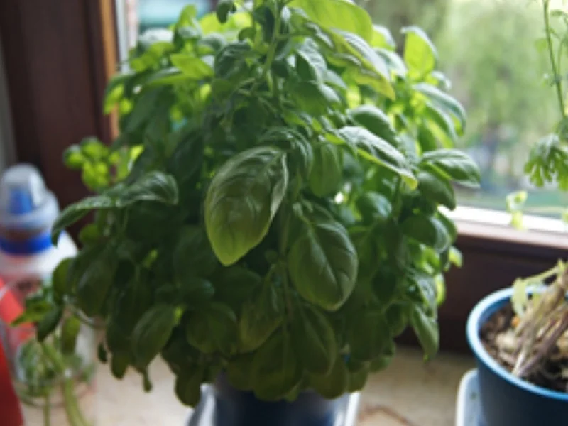 Rezept: Herzhafter Tomaten-Mozzarella-Salat Bild Nr. 4 Herzhafter Tomaten-Mozzarella-Salat - Rezept - Bild Nr. 4