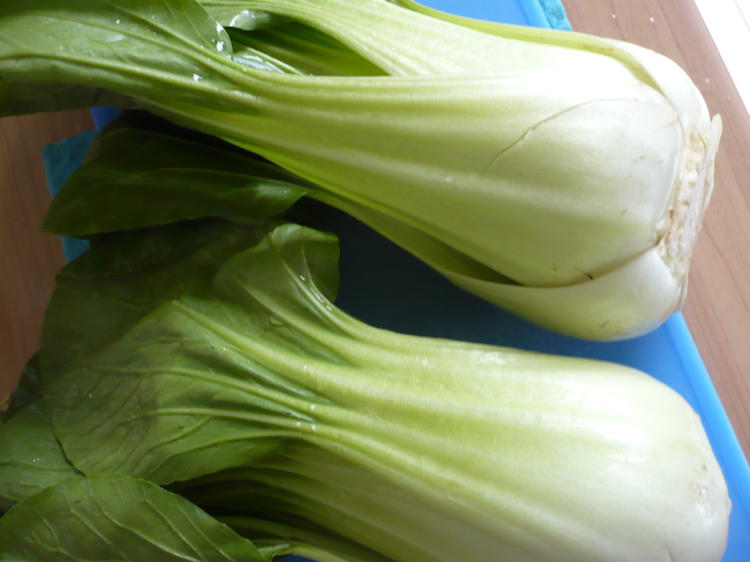 Pak Choi mit Knoblauch - Rezept mit Bild - kochbar.de