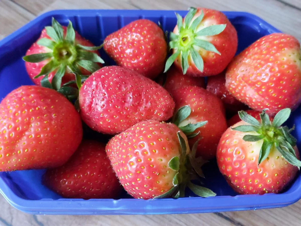 Rezept: Marmelade aus Treibhaus - Erdbeeren Bild Nr. 14115 Marmelade aus Treibhaus - Erdbeeren - Rezept - Bild Nr. 14115