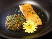 Rezept: Beschwipster Lachs an indischen Schmetterlingsblรผtlern Bild Nr. 14127 Beschwipster Lachs an indischen Schmetterlingsblรผtlern - Rezept - Bild Nr. 14127