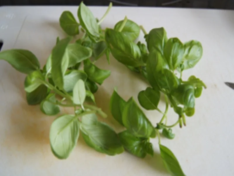 Rezept: Tomatensalat mit Harzer Käse Bild Nr. 14138 Tomatensalat mit Harzer Käse - Rezept - Bild Nr. 14138