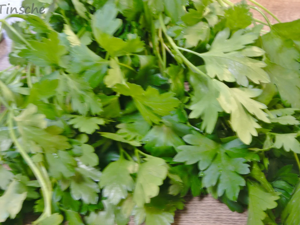 Rezept: Petersilien-Creme-Suppe Bild Nr. 14134 Petersilien-Creme-Suppe - Rezept - Bild Nr. 14134