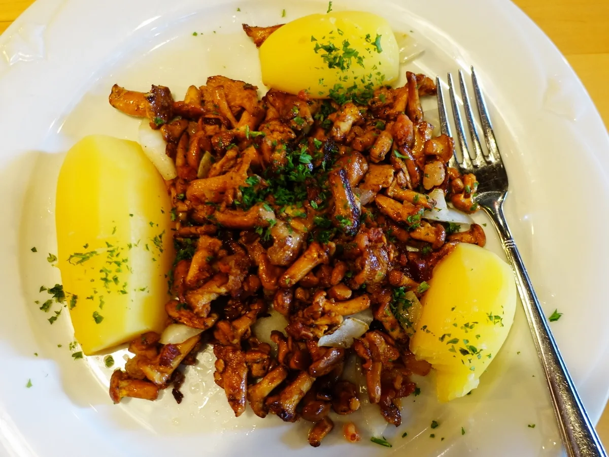 Gebratene Pfifferlinge mit Butterkartoffeln - Rezept - Bild Nr. 14134