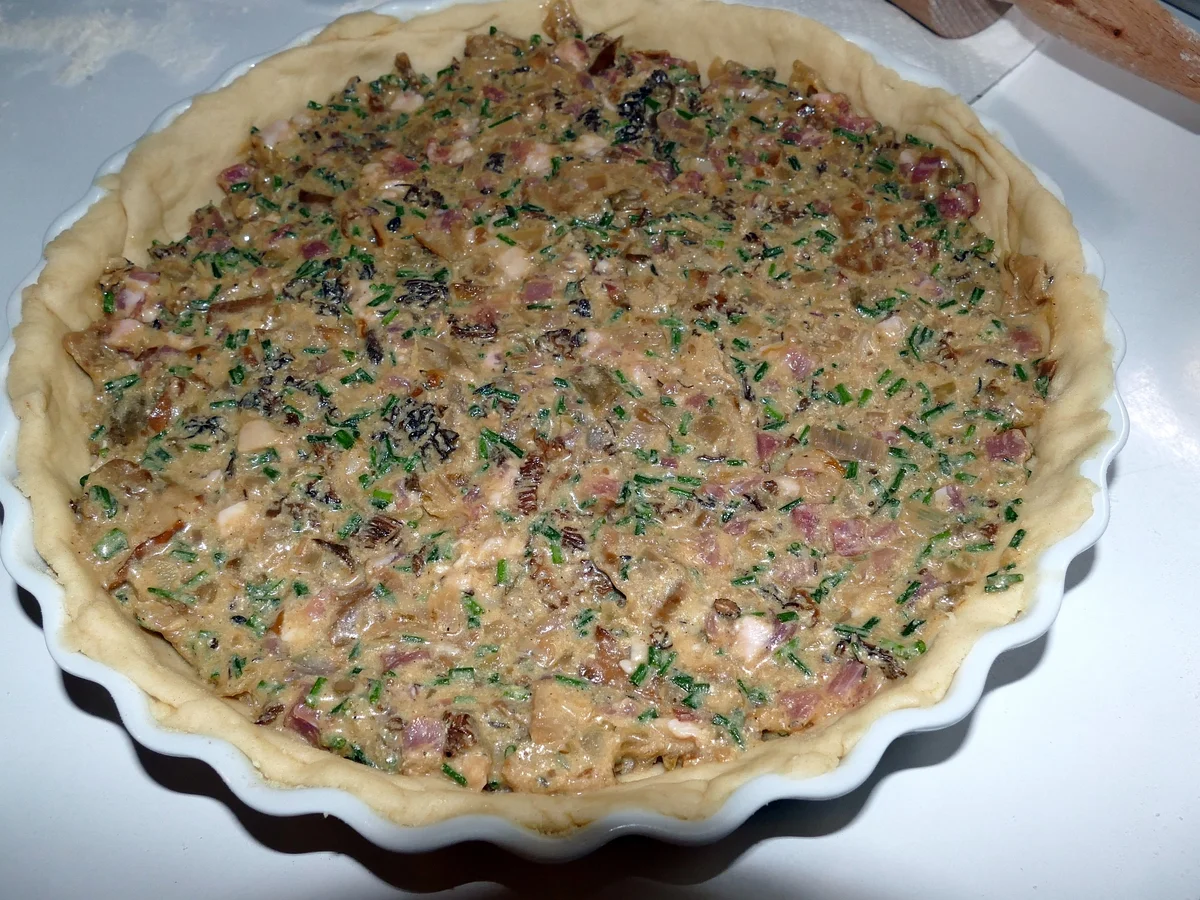 Wehe mit Steinpilzen, Morcheln und Speckwürfeln - Rezept - Bild Nr. 14167