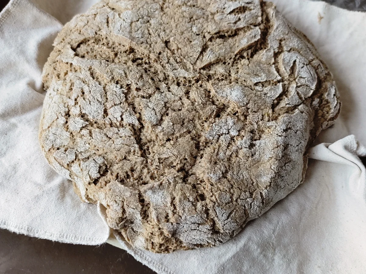 Roggenvollkornbrot - Rezept - Bild Nr. 14169