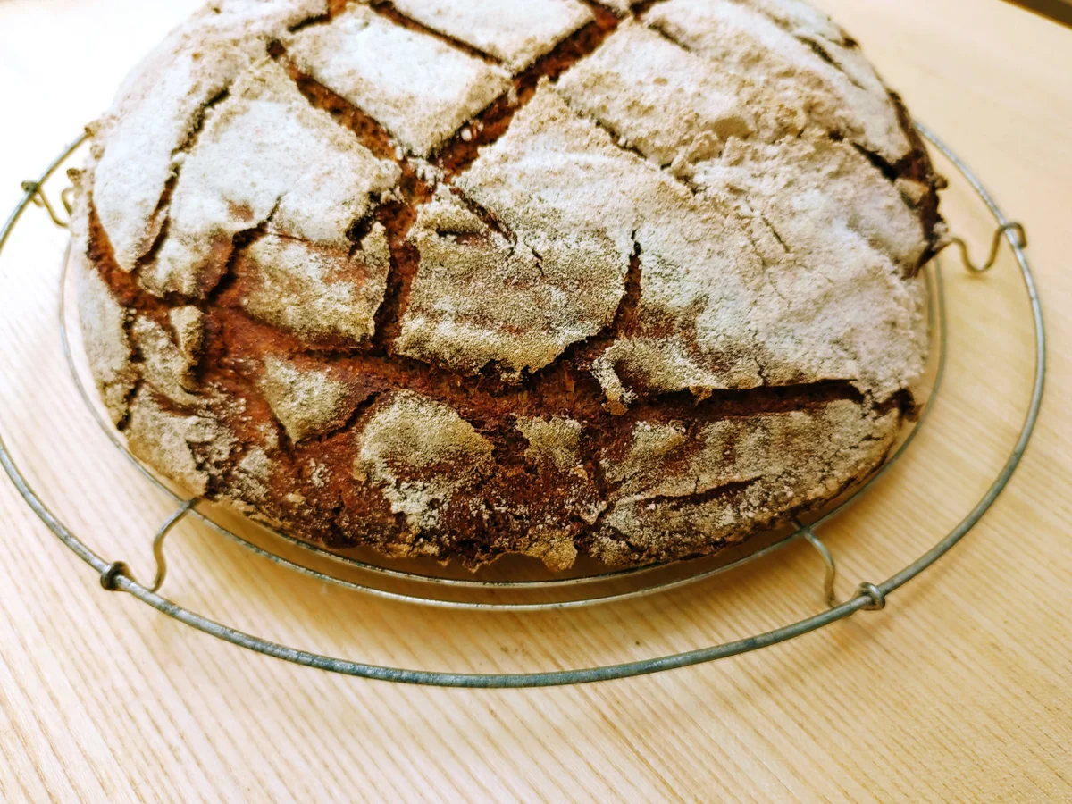 Roggenvollkornbrot - Rezept - Bild Nr. 14171