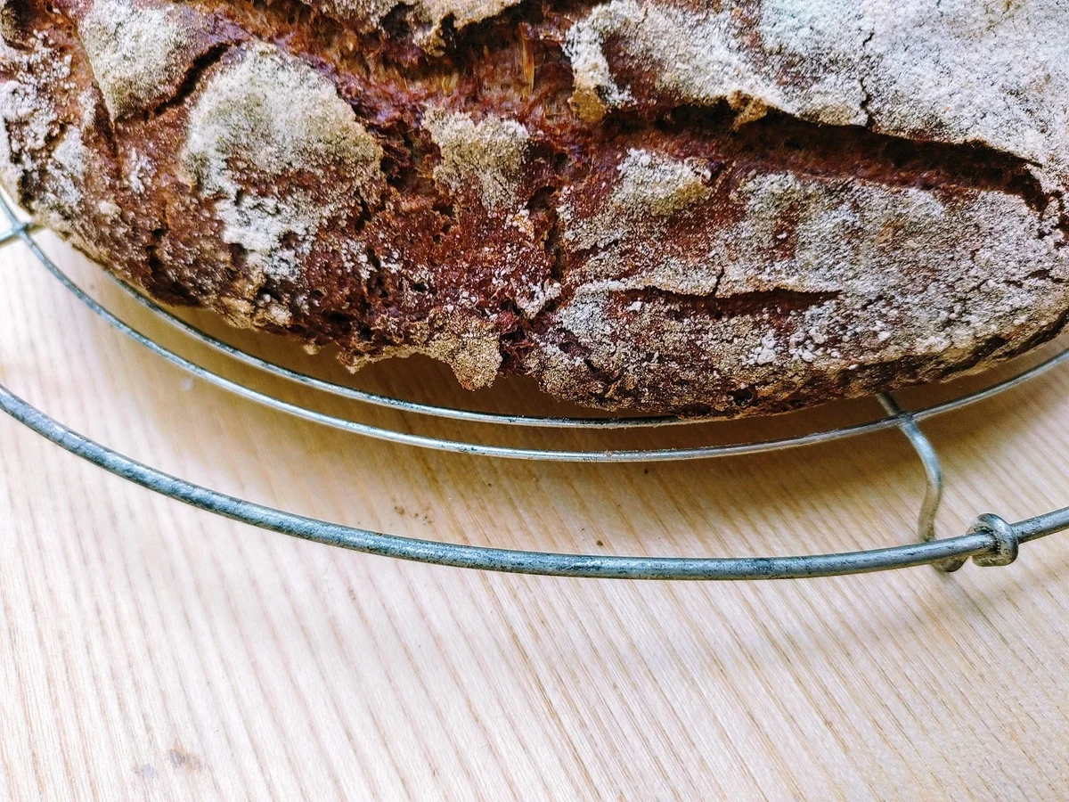 Roggenvollkornbrot - Rezept - Bild Nr. 14172