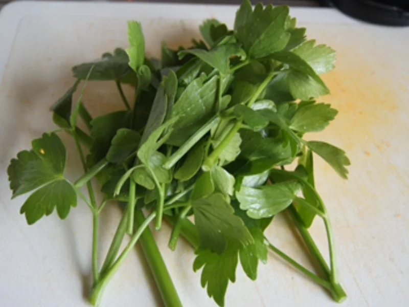 Gemüsesuppe - Rezept - Bild Nr. 14178