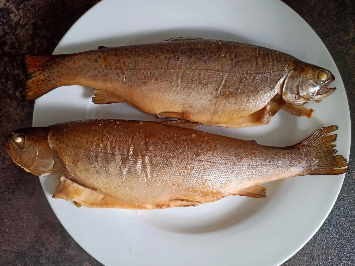 Rezept: Geräucherte Forelle Bild Nr. 14196 Geräucherte Forelle - Rezept - Bild Nr. 14196