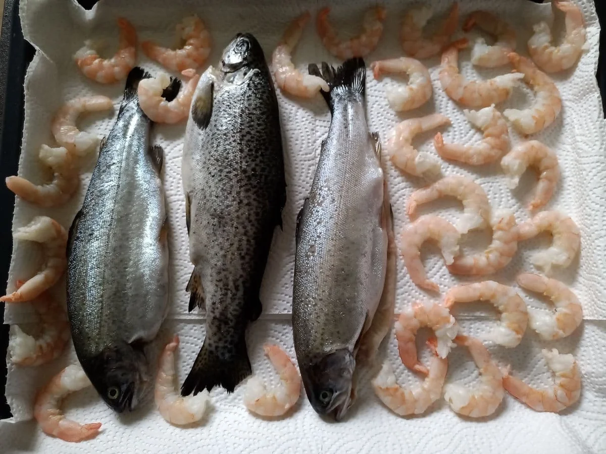 Rezept: Geräucherte Forelle Bild Nr. 14198 Geräucherte Forelle - Rezept - Bild Nr. 14198