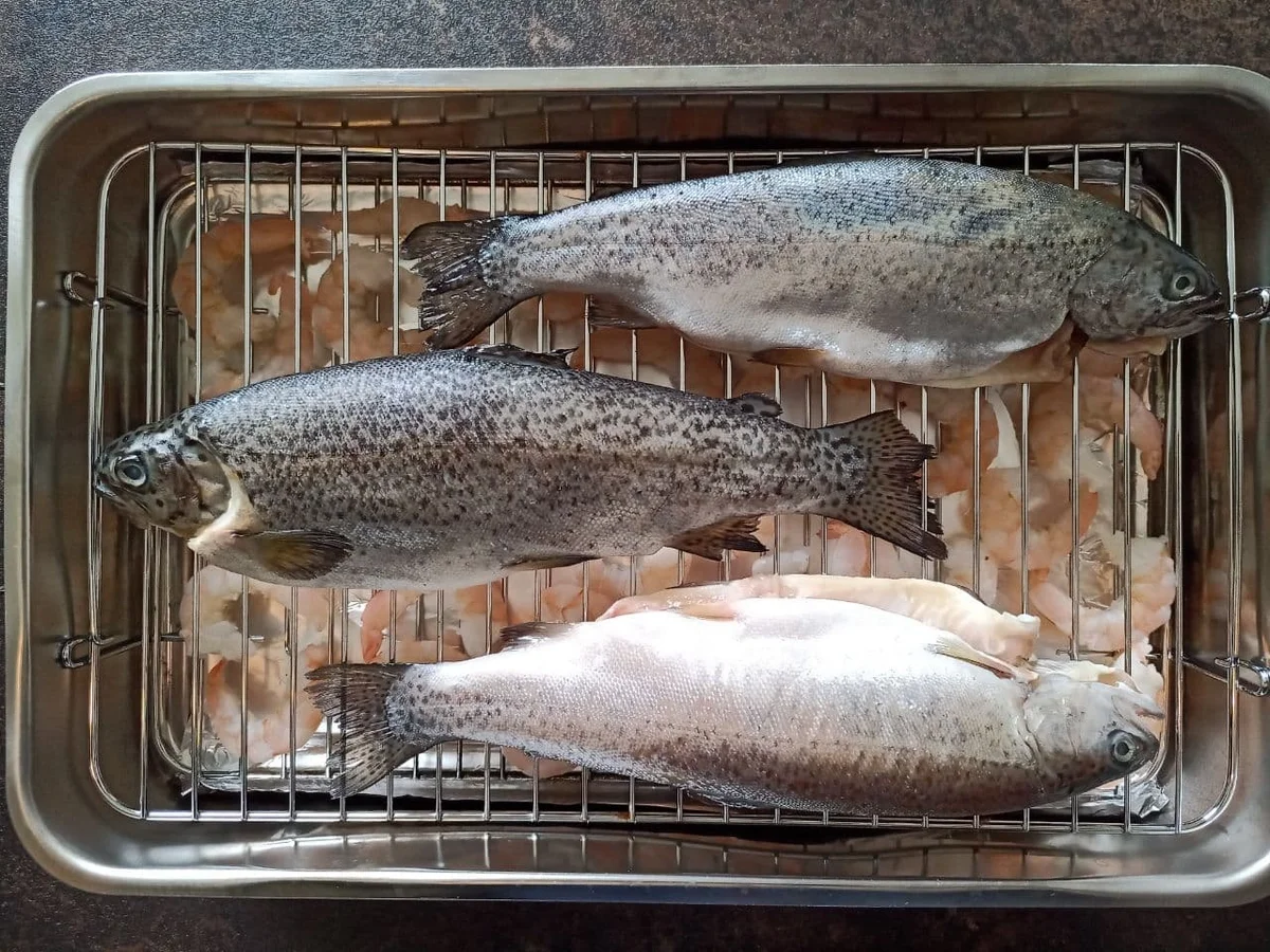 Rezept: Geräucherte Forelle Bild Nr. 14200 Geräucherte Forelle - Rezept - Bild Nr. 14200