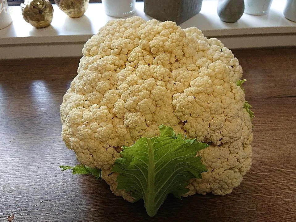 Knuspriger Blumenkohl - Rezept - Bild Nr. 14177