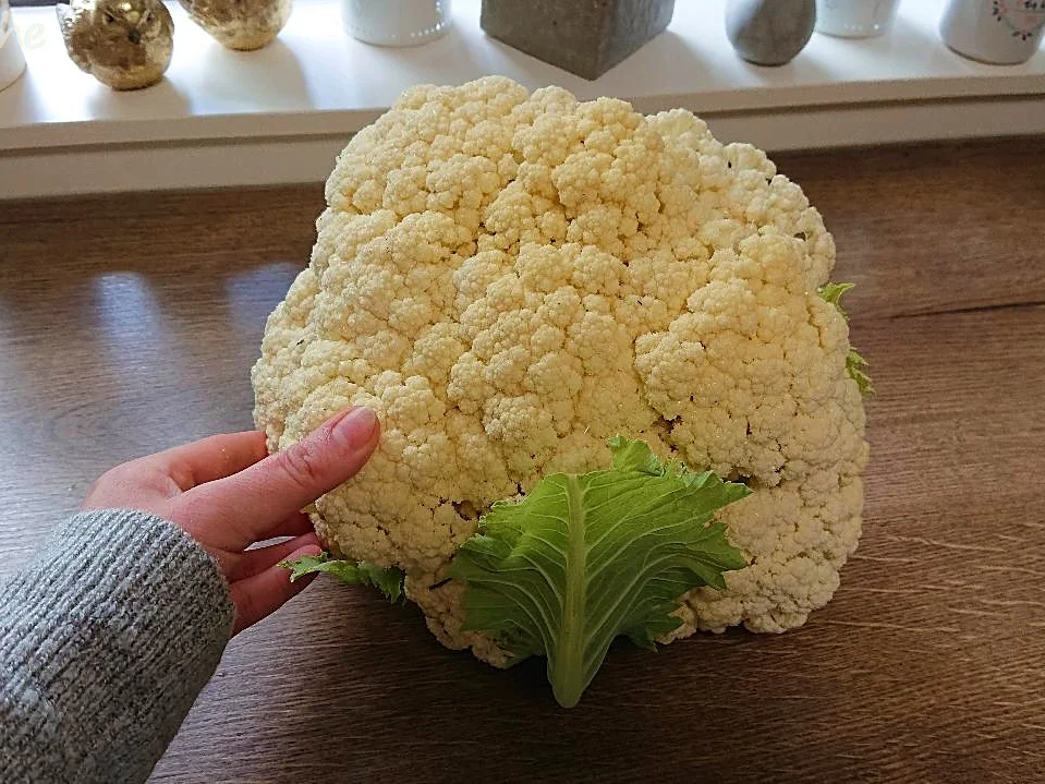 Knuspriger Blumenkohl - Rezept - Bild Nr. 14178