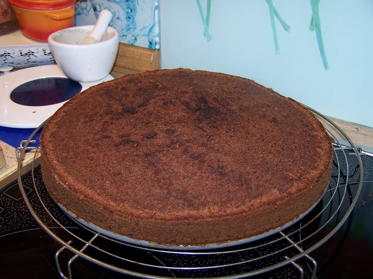 Rezept: Schachbrett Torte erster Versuch Bild Nr. 14181 Schachbrett Torte erster Versuch - Rezept - Bild Nr. 14181