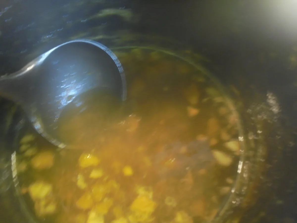 Aprikosen-Apfel-Kiwi Konfitüre - Rezept - Bild Nr. 14180