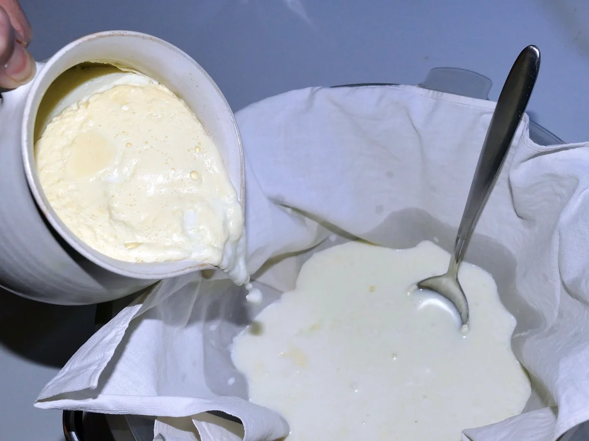 G'standne Milch _ Gestandene Milch selber machen - Rezept - Bild Nr. 14185